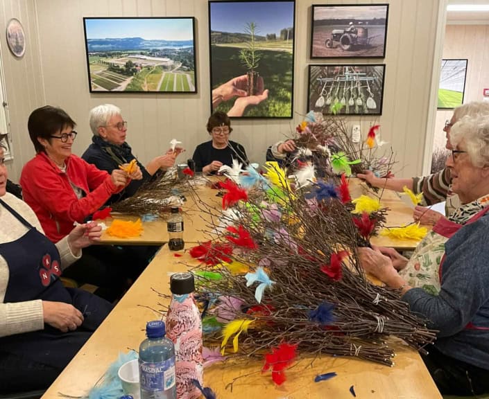 Biri-Sanitetsforening-1